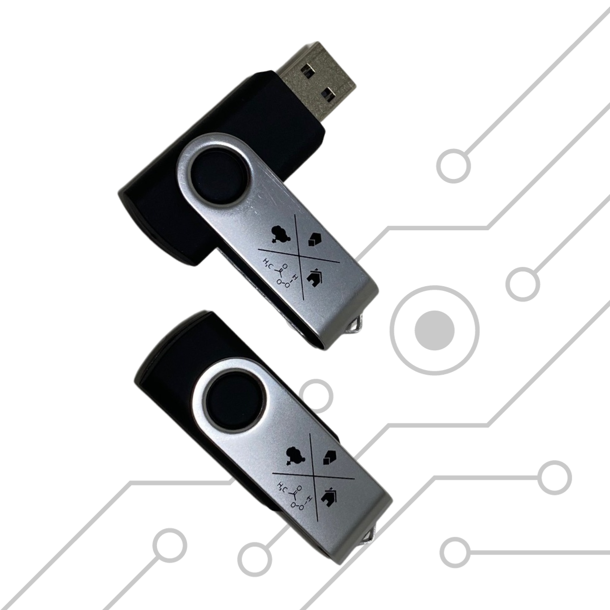 PM Flash Drive