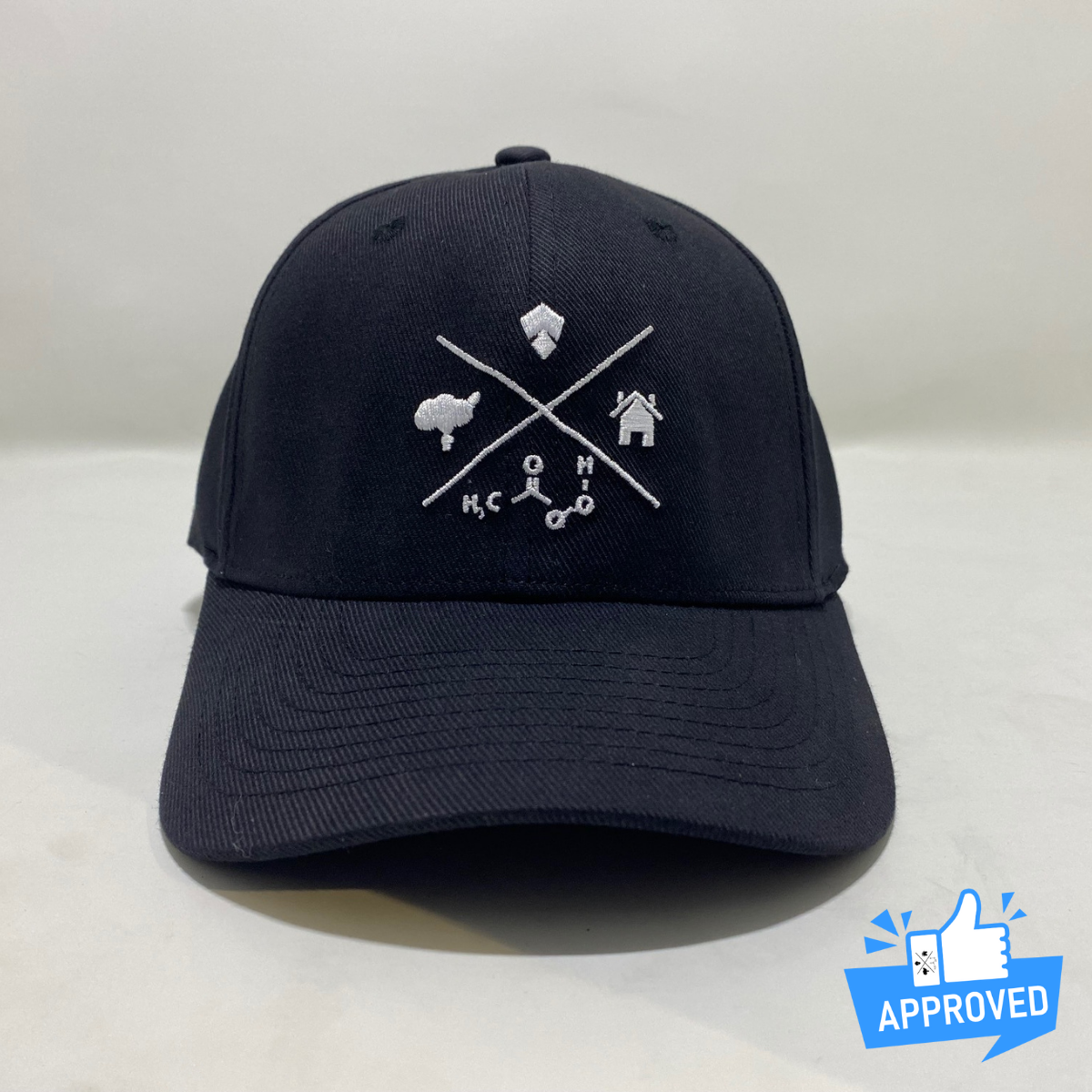 PM Black Logo Hat