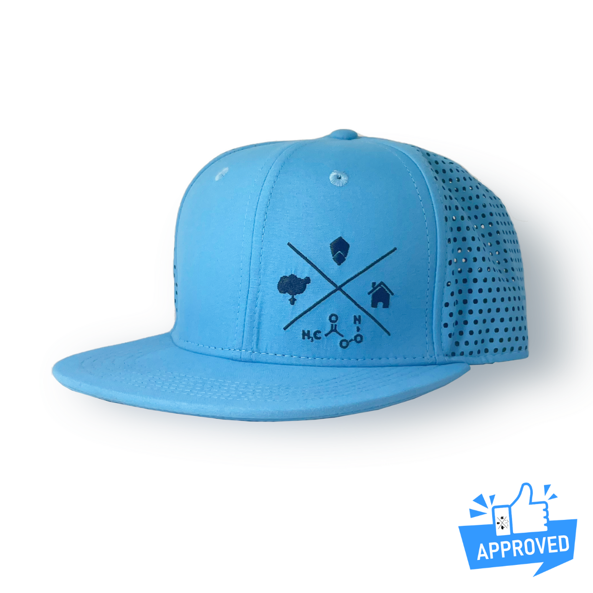 HAT Blue Secondary Logo flat brim