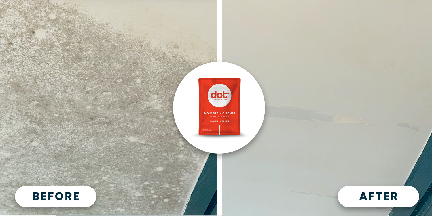 DOT   Light Mold Stain & Surface Cleaner 1 Gallon