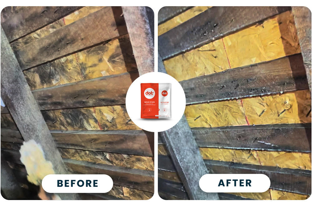 DOT Deep Mold Stain & Extra Strength Cleaner 1 Gallon size
