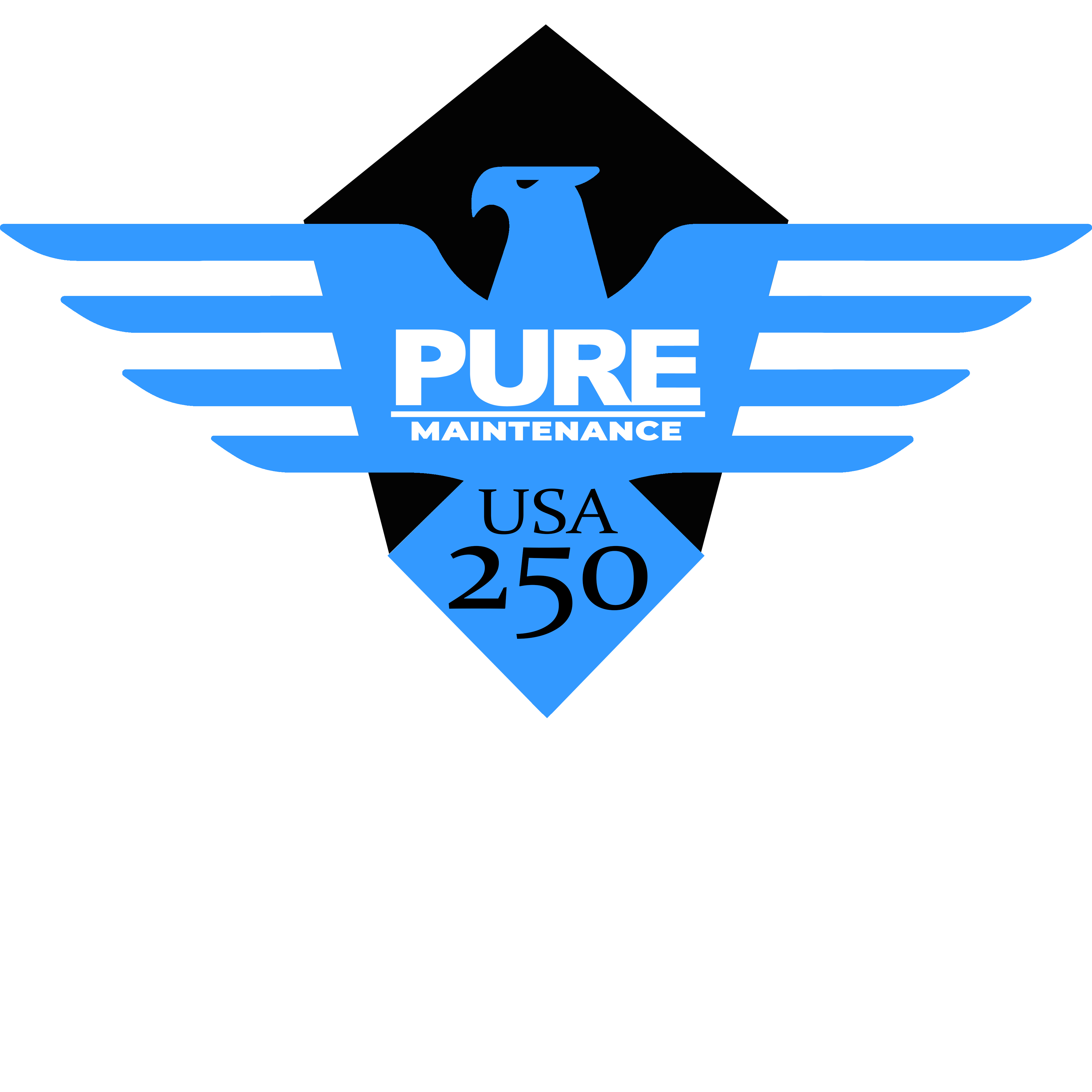 PURE 250 Unisex classic tee